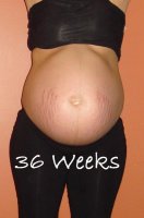 36 weeks-a.jpg