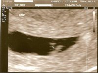 Copy of BabyL6wks.jpg