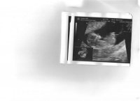 Scan.jpg