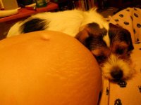 puppy love.jpg