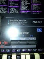 IMG-20110309-00077.jpg