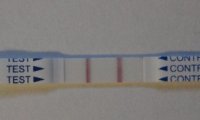 opk.jpg