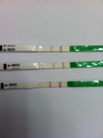 test strips 1.jpg