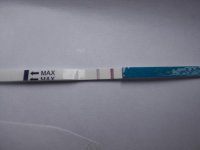 17dpo 004.jpg