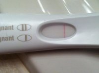 FRER7dpo2.jpg