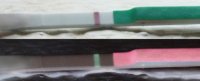 stick.jpg