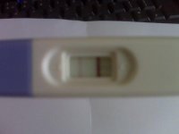 Pregnancy test.jpg