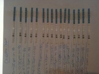 photo (2).jpg