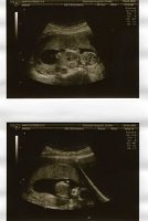 SCAN013.jpg