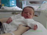 IMGP0230.jpg