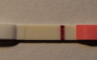 8 dpo.jpg