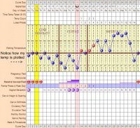 basal-body-temperature-chart.jpg