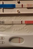 10dpo.jpg