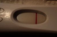 frer.jpg