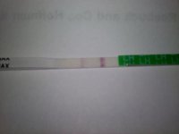 opk1.jpg