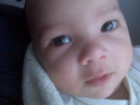 IMG00824.jpg