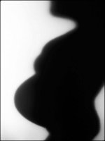 shadow.jpg