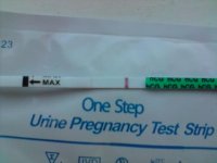 11dpo.fmu.jpg