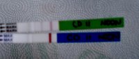 CD11 OPK2.jpg