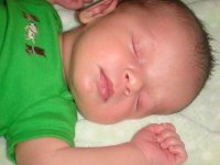 DSC02455.jpg