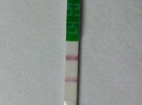 test strips #1.jpg