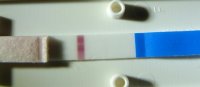DSC03710.jpg
