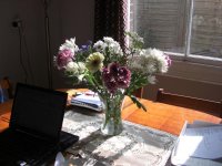 flowers.jpg