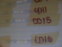 085733.jpg