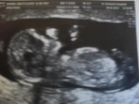 Scan Pictures 003.jpg