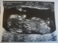 Scan Pictures 004.jpg