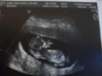 Scan Pictures 001.jpg