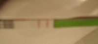 OPK CD16 (2).jpg