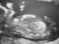 Scan Pictures.jpg