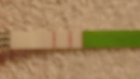 OPK CD16 (3).jpg