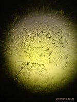 IMAG0868.jpg