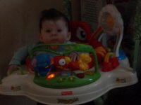 jumperoo 005.jpg