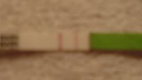 CD17 OPK+ (2).jpg