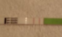 OPK CD16.jpg
