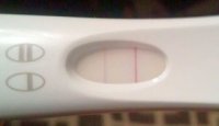 frer1220.jpg