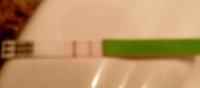 CD17 OPK+.jpg