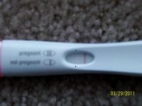 eafsdzgsdfg marked.jpg