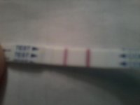 CD17.jpg