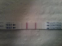 cd19, day 5 positive opk.jpg