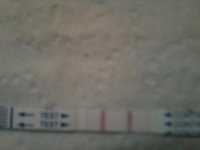 CD20 230PM.jpg