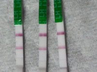 test strips #2.jpg