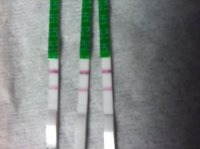 test strips #1.jpg