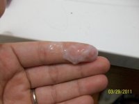 100_2007.jpg