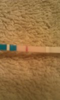 IMAG0091.jpg
