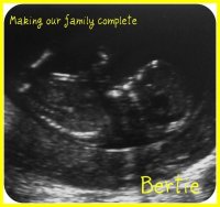 Bertie complete.jpg