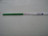 n 002.jpg